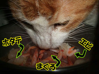 いろいろ入ってるよ～