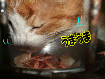 よかったね~