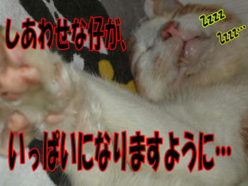 そうあってほしいね！