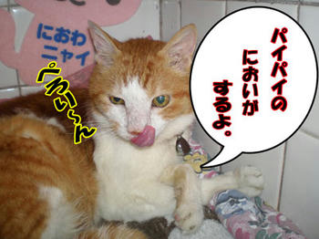 匂いますか？