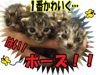 いちばんっ？