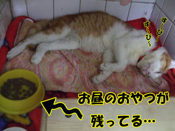 残ってる…(--)ﾑ!