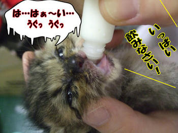 大きくなるよ！