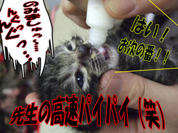 ガッツリいくよ！