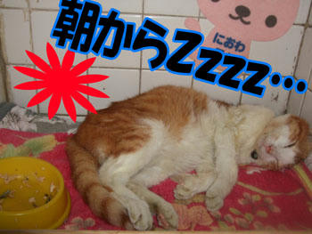 気持ちイイ～～！