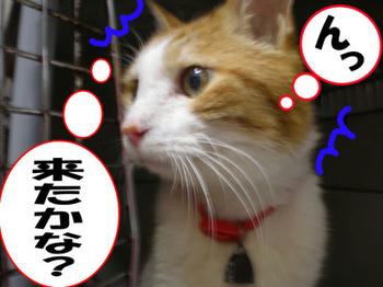 分かったの？