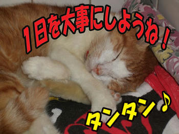 毎日楽しく！