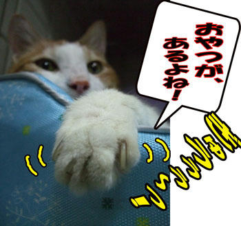 ありますよ♪