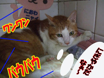 大騒ぎw(￣Д￣;)wﾜｵｯ!!