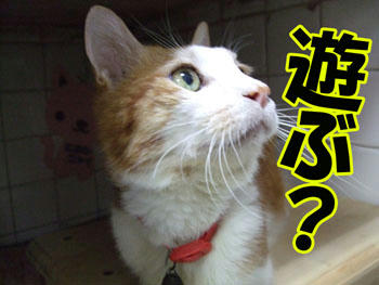 今日は「起きる日」なの？