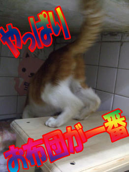 (￣Д￣；；