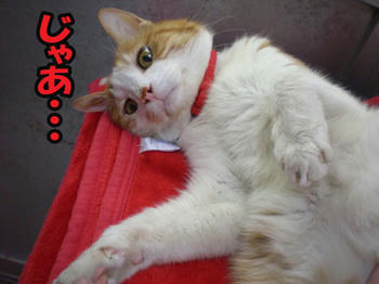 その顔は・・・