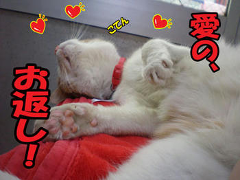 可愛すぎ！