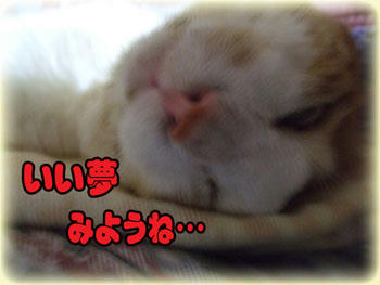 しあわせだよね…