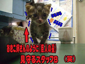 母さんのまなざし♪