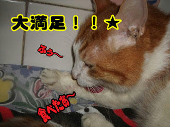 食べたね～♪