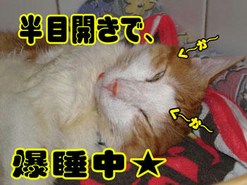 お腹いっぱい！