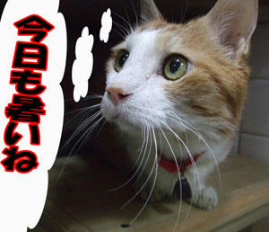 出てきたよ～～