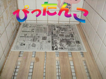 木のかほり～～