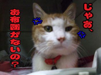 う・・・うん