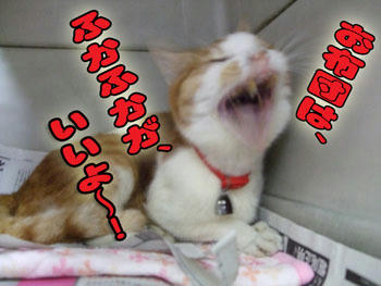 そりゃあそうだよね♪