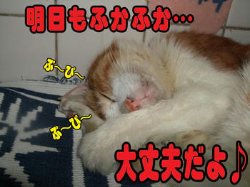 おまかせ♪