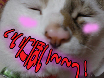 ε-(￣ヘ￣)┌ ﾀﾞﾐﾀﾞｺﾘｬ…