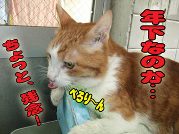 そ…そんな！