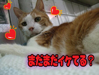 .....ヾ( 〃∇〃)ﾂ ｷｬｰｰｰｯ♪