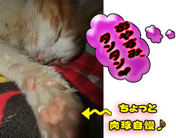 やっぱりこれだね❤