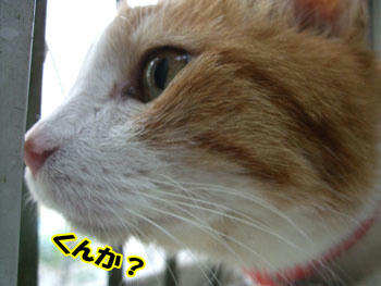 真剣なまなざし…