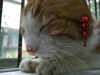 久し振りで・・・