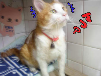 起きだして・・・