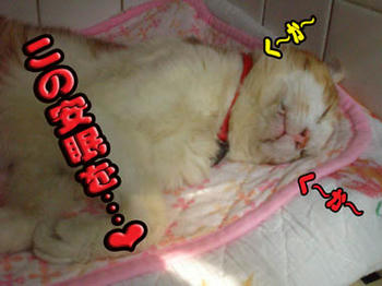 いつまでも・・・❤