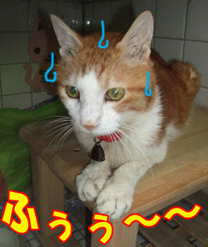 おちつかな～～いよ！