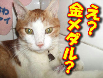 すごいよね！