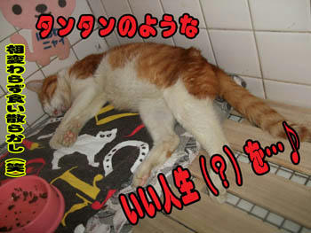 愛されたいよね。❤