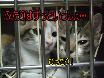 兄弟だもんね❤
