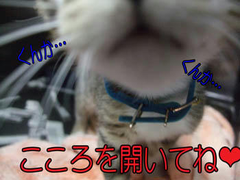興味を持ってね♪