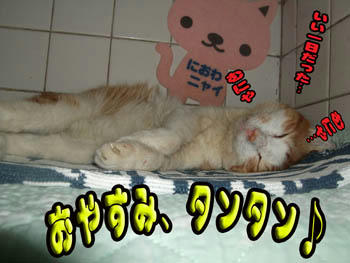 いつも通りZzzz