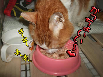 食べる！