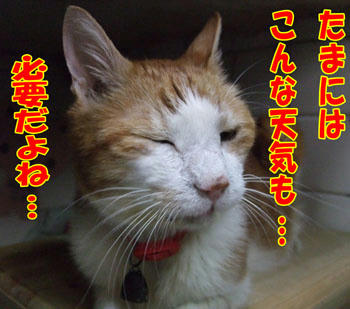 うん、うん