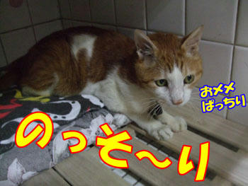 んんっ？時間？