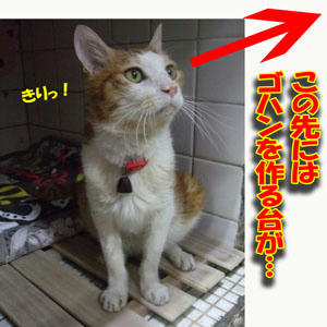 時間だ！