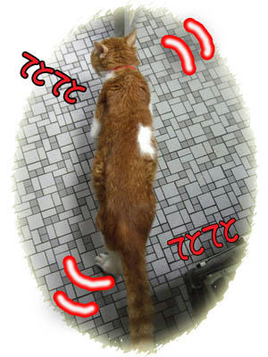 何か変わった事はないかな？