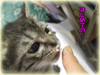 くろちゃん…❤