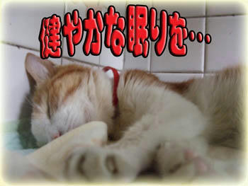 いつもと同じが１番！