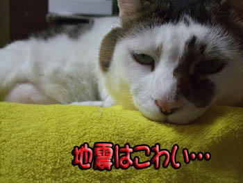分かってんの？