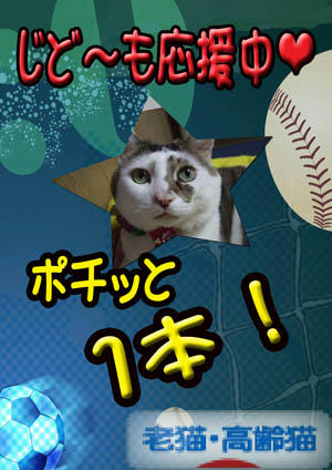 野球型