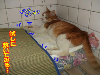 横向きに…
